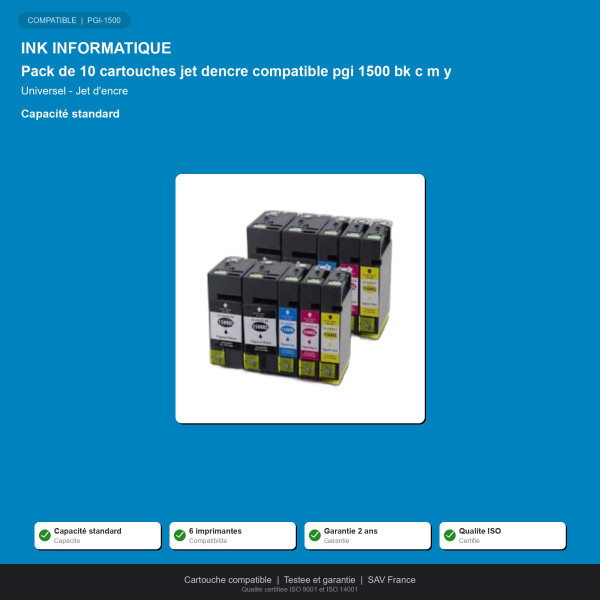 Pack de 10 cartouches jet dencre compatible c | INK Informatique