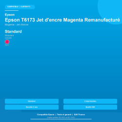 CJETE6173